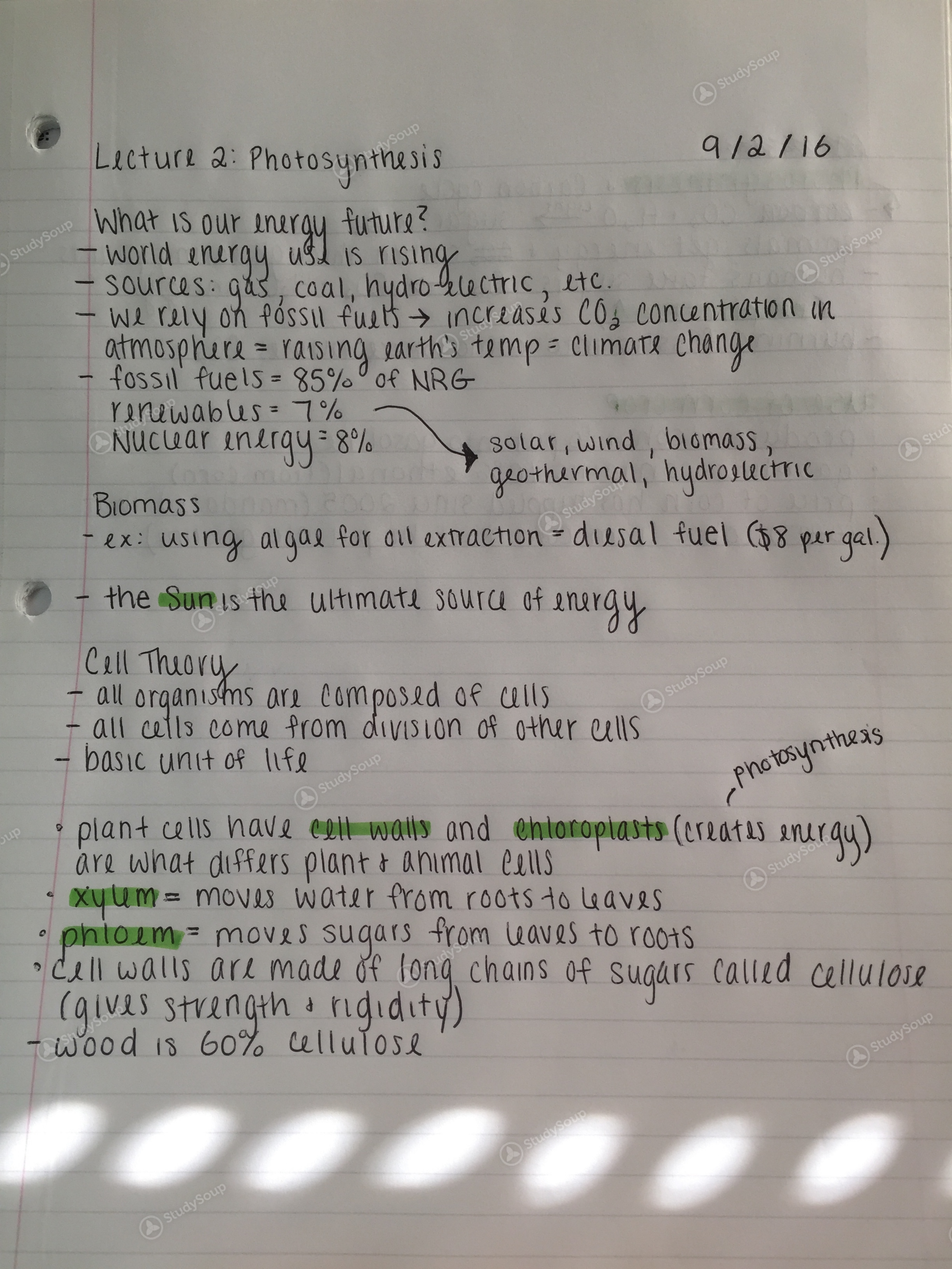 FSU - BSC 1005 - Class Notes - Lecture #2 Notes; Photosynthesis