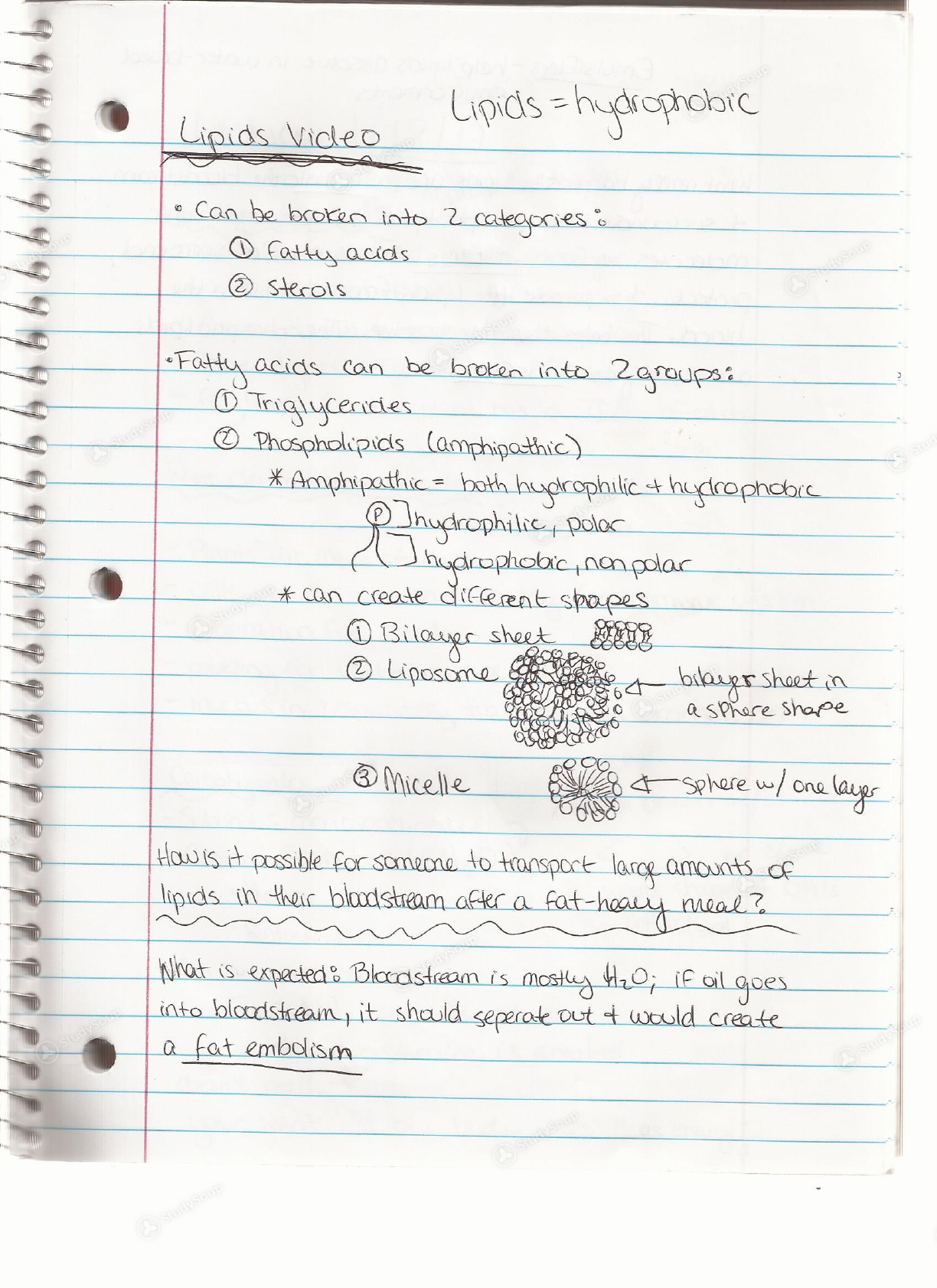 UGA BIOS 1107 Biology 1107 Week 2 Notes Class Notes StudySoup