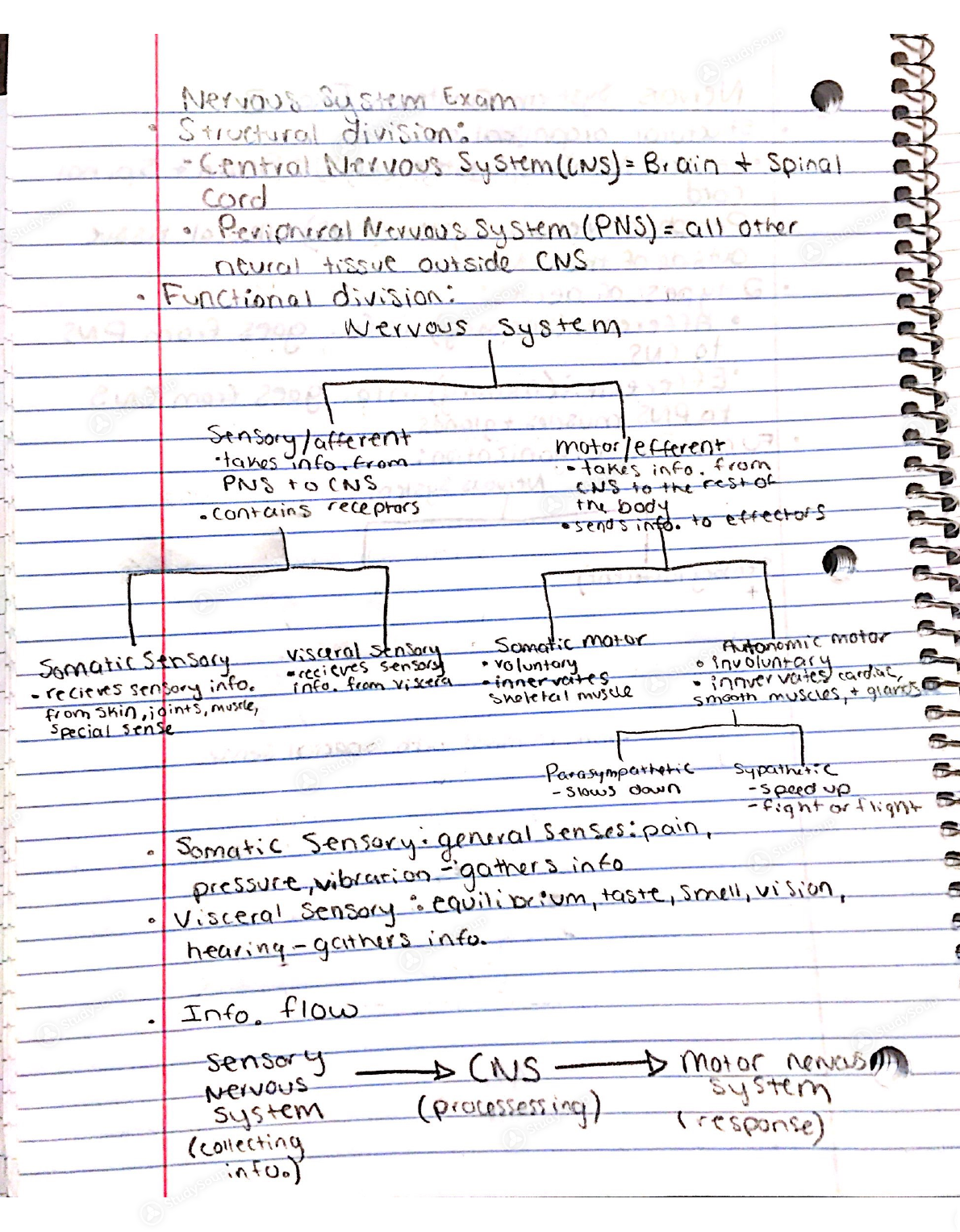study guide for central system