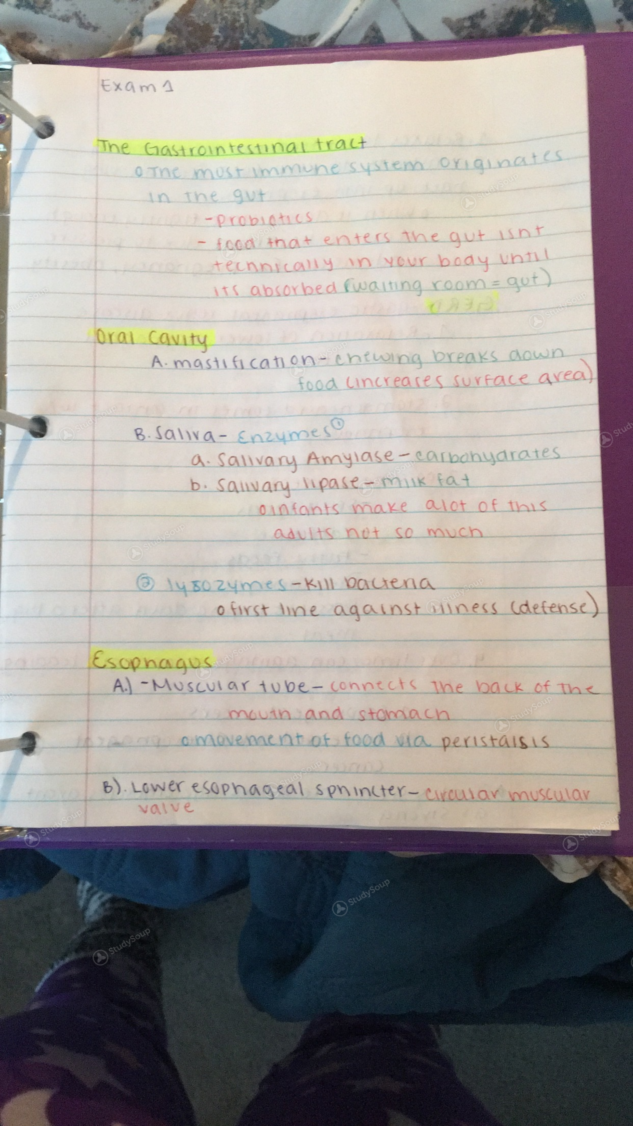 - - 3224 Week | HUN StudySoup Notes - 1 Class FSU