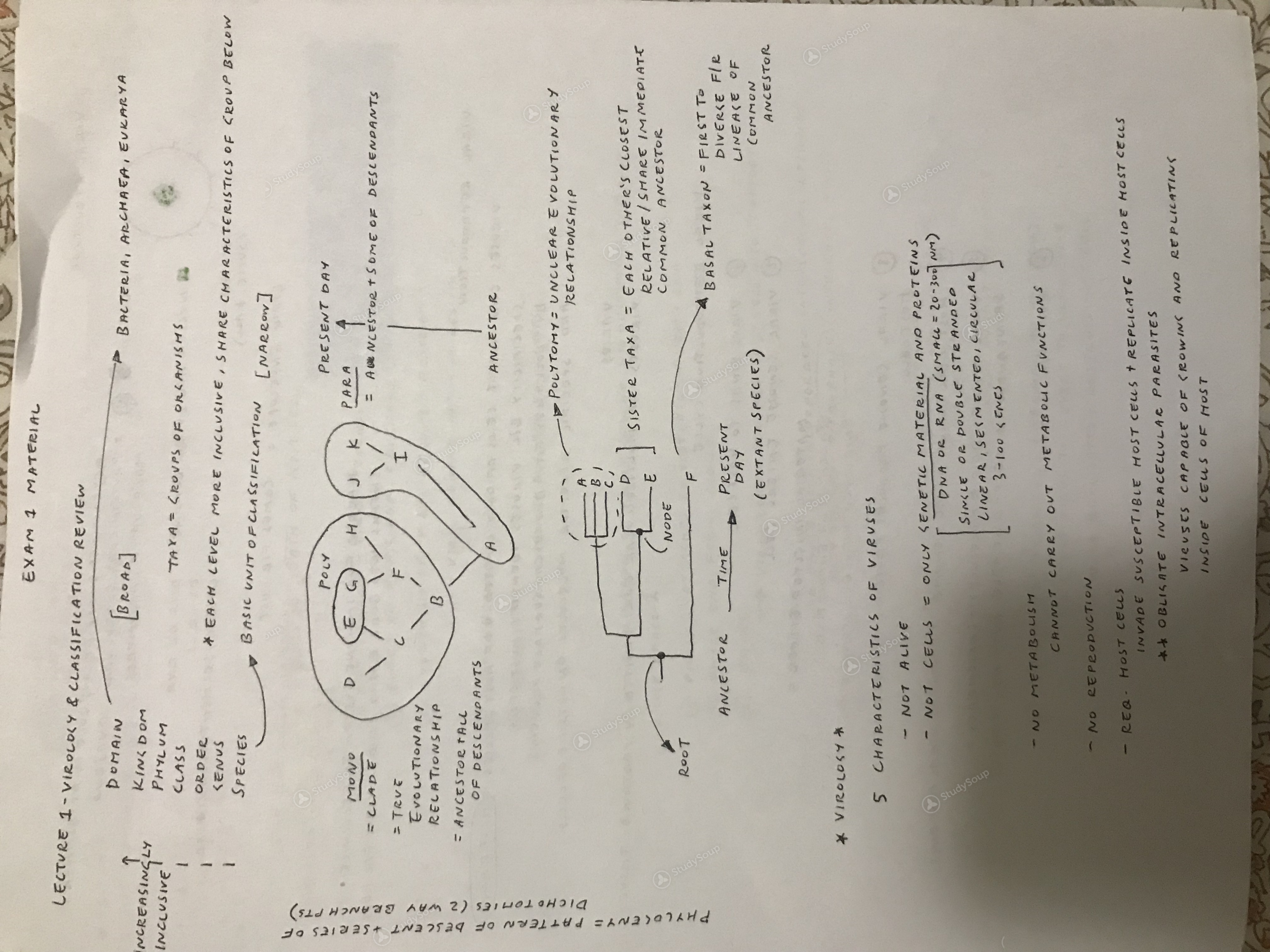 prokaryotes study guide Array - bacteria archaea study guide rh bacteria  archaea study guide collegelab us